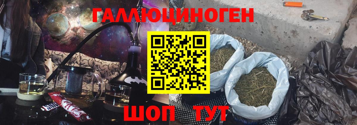 как найти наркотики  Псилоцибиновые грибы мухоморы  Вход с VPN  Губкинский 